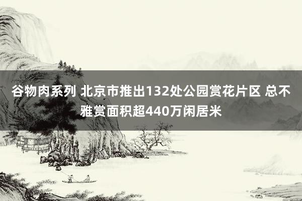 谷物肉系列 北京市推出132处公园赏花片区 总不雅赏面积超440万闲居米