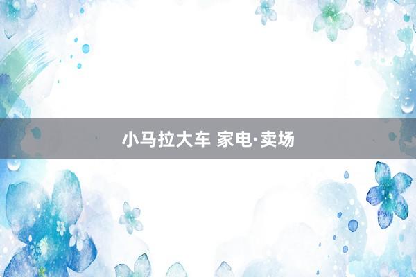 小马拉大车 家电·卖场