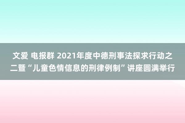 文爱 电报群 2021年度中德刑事法探求行动之二暨“儿童色情信息的刑律例制”讲座圆满举行