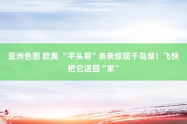 亚洲色图 欧美 “平头哥”表亲惊现千岛湖！飞快把它送回“家”