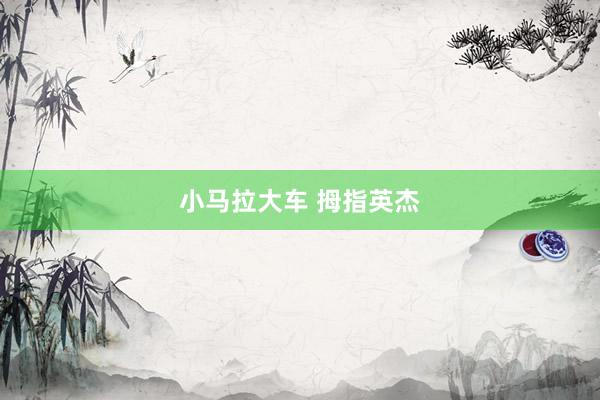 小马拉大车 拇指英杰