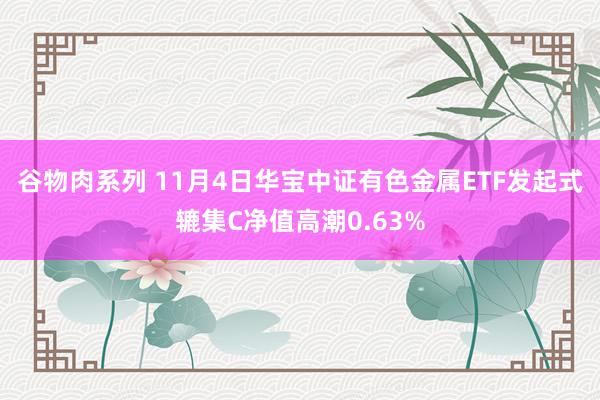 谷物肉系列 11月4日华宝中证有色金属ETF发起式辘集C净值高潮0.63%