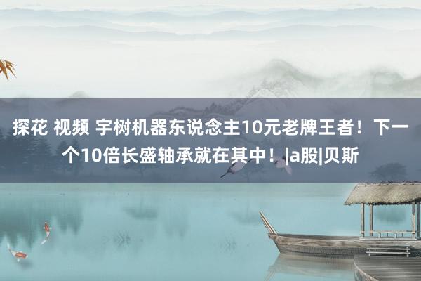 探花 视频 宇树机器东说念主10元老牌王者!下一个10倍长盛轴承就在其中!|a股|贝斯