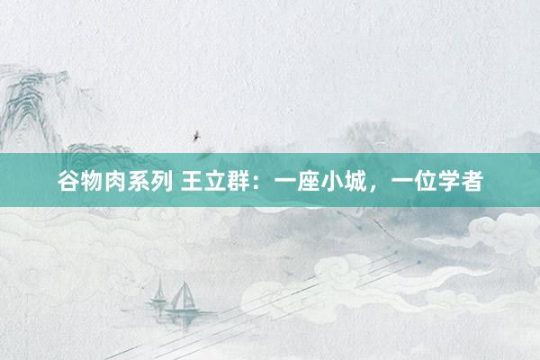 谷物肉系列 王立群：一座小城，一位学者