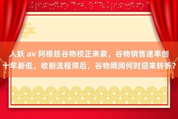 人妖 av 阿根廷谷物校正来袭,谷物销售速率创十年新低,收割流程滞后,谷物阛阓何时迎来转折?