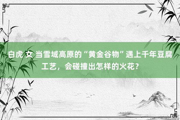 白虎 女 当雪域高原的“黄金谷物”遇上千年豆腐工艺,会碰撞出怎样的火花?