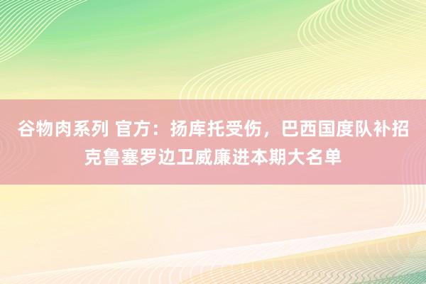 谷物肉系列 官方：扬库托受伤，巴西国度队补招克鲁塞罗边卫威廉进本期大名单