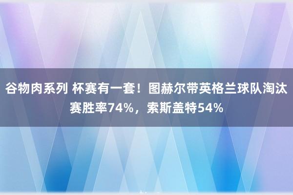 谷物肉系列 杯赛有一套!图赫尔带英格兰球队淘汰赛胜率74%,索斯盖特54%