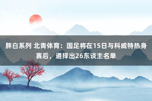 胖白系列 北青体育：国足将在15日与科威特热身赛后，遴择出26东谈主名单