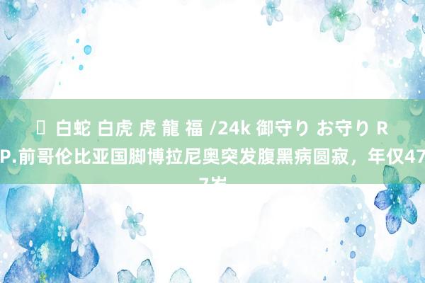 ✨白蛇 白虎 虎 龍 福 /24k 御守り お守り R.I.P.前哥伦比亚国脚博拉尼奥突发腹黑病圆寂，年仅47岁