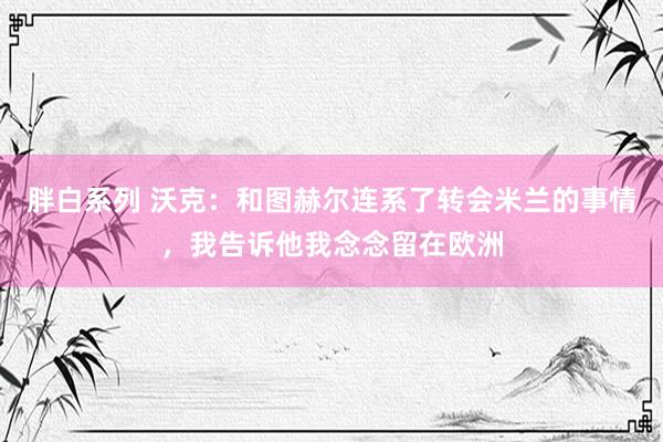 胖白系列 沃克：和图赫尔连系了转会米兰的事情，我告诉他我念念留在欧洲